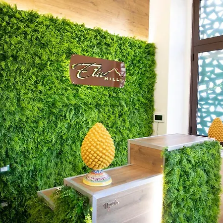 Casa de hóspedes Etna Hills Catânia